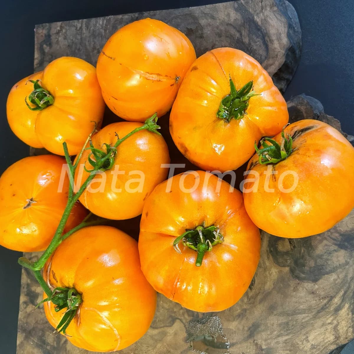 Томат "Діксі Золотий гігант" (Dixie Golden Giant) - насіння 6