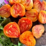 Томат "Бичаче серце біколор" (Oxheart Bicolor) - насіння 5